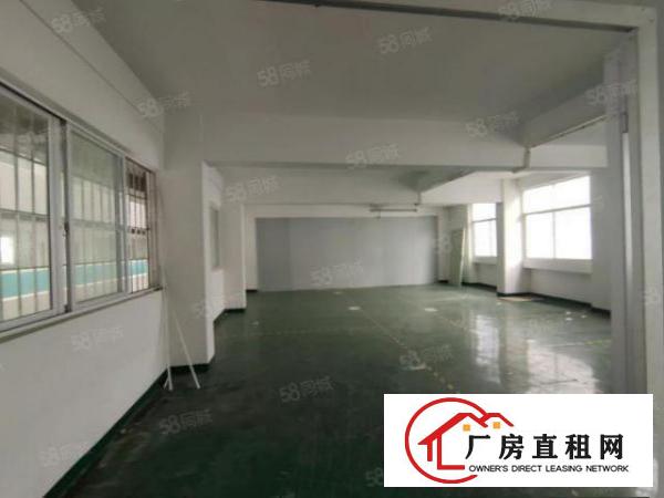  长安镇新空出独院1到3标准12000平厂房出租可分租