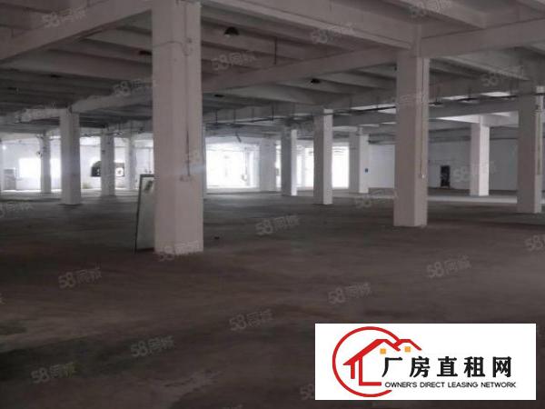  厂房出租长安沙头新出一楼6800平米，1900平米起分