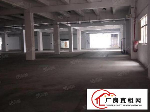  厂房出租长安沙头新出一楼6800平米，1900平米起分