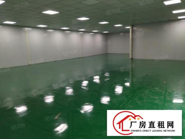  长安镇厦边新出单一层钢构厂房