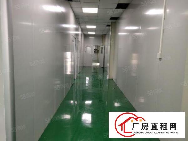  长安镇厦边新出单一层钢构厂房