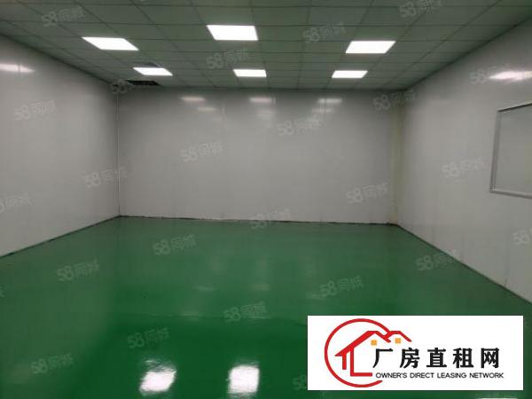  长安镇厦边新出单一层钢构厂房