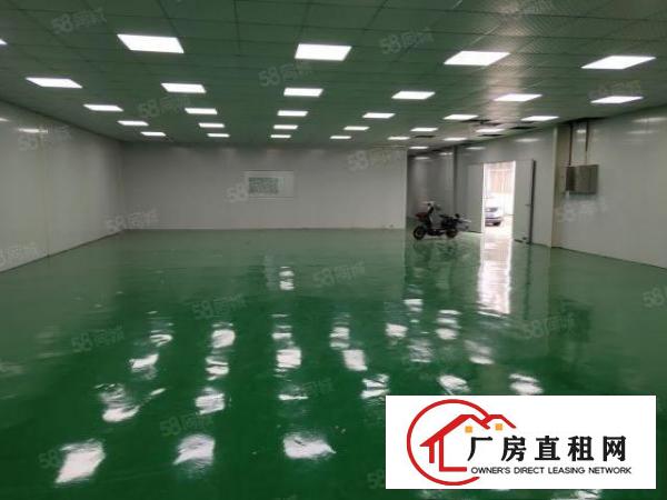  长安镇厦边新出单一层钢构厂房