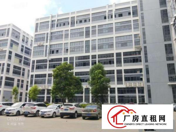  长安滨海湾新区重工厂房二楼2580平，精装修，拎包入户