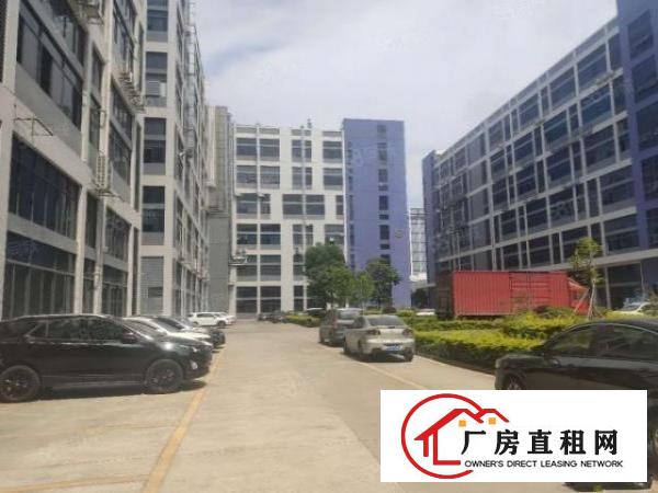  长安滨海湾新区重工厂房二楼2580平，精装修，拎包入户