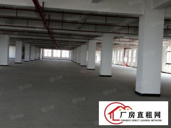  长安镇长发博腾独栋单层3600平招租