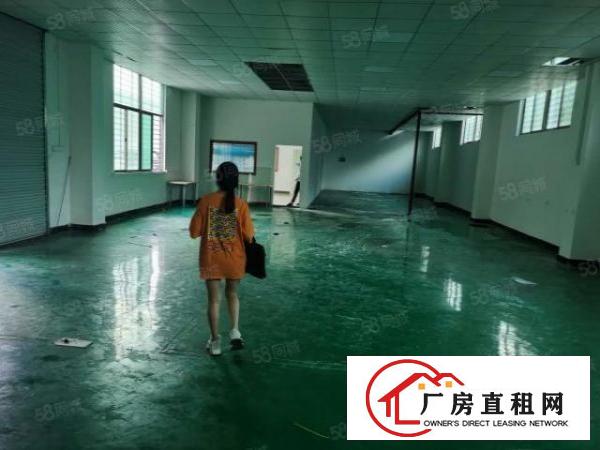  新民楼上新出1200平方，大小可分租，带有豪华装修，水电齐全