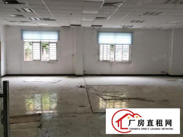  长安新出单一层花园式厂房招租