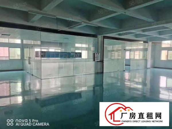  临界深圳长安新安大桥旁边1500平厂房出租可分租
