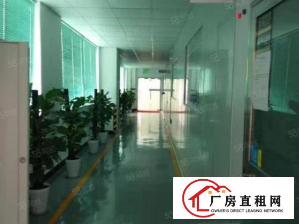  长安广深高速附近新出楼上1100平现成无尘车间厂房