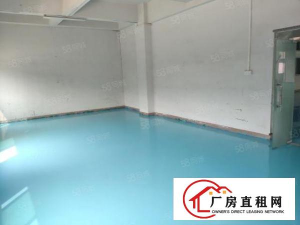  沙头南区楼上1400平方现成装修厂房出租