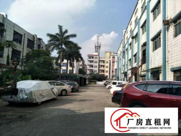  厦边新出楼上600平重工业有环评证厂房招租