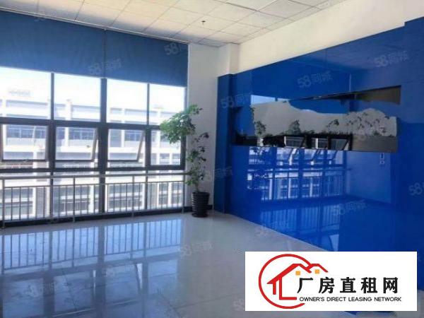  高新产业长安沿江高速原房东红本独院8000平可整租可分租