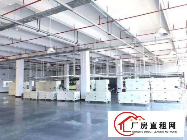  高新产业长安沿江高速原房东红本独院8000平可整租可分租