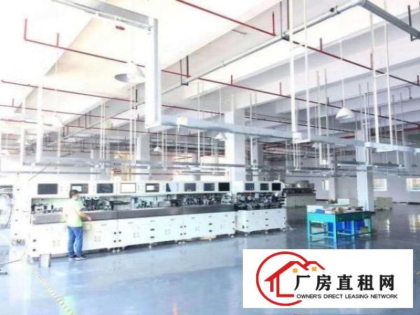  高新产业长安沿江高速原房东红本独院8000平可整租可分租