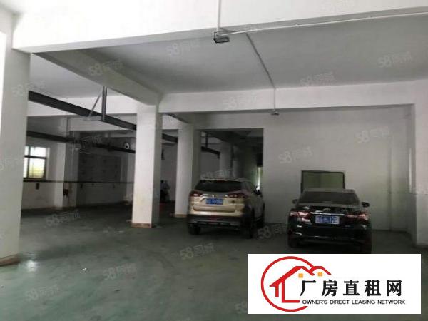 新民市场附近一楼360平厂房，带装修
