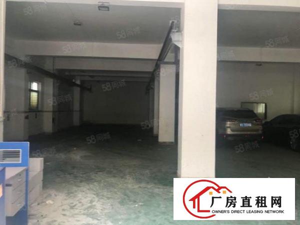  新民市场附近一楼360平厂房，带装修