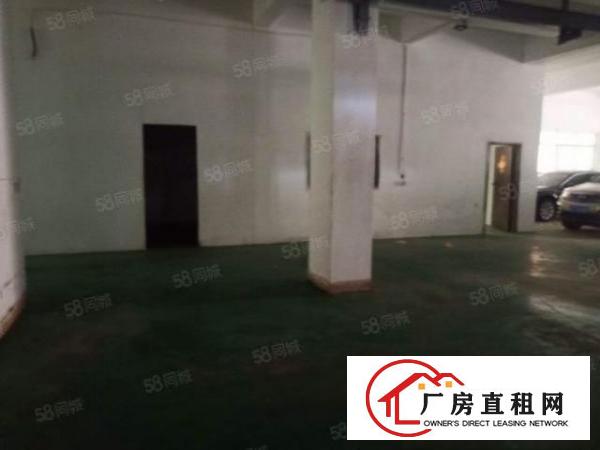  新民市场附近一楼360平厂房，带装修