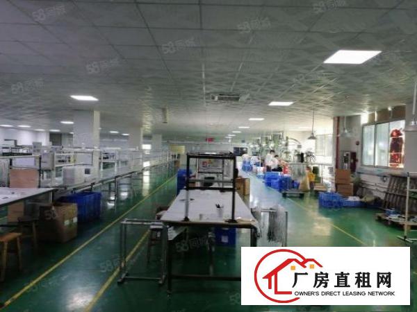  长安镇厦边358省道边新出标准厂房二楼1750平方可分租