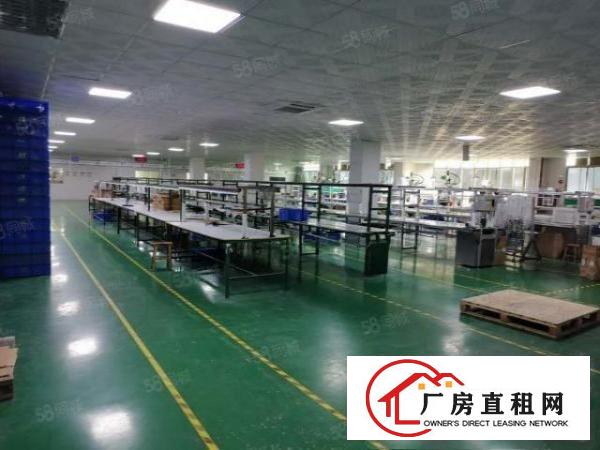  长安镇厦边358省道边新出标准厂房二楼1750平方可分租