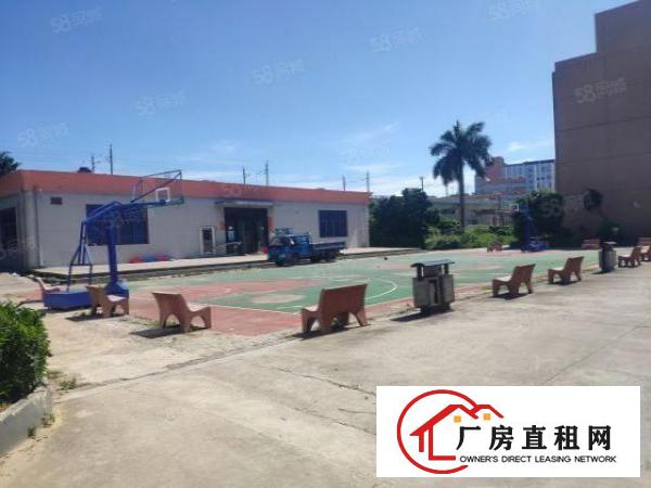  长安沙头厂房出租，1000平，滴水9米，门口飞机可以掉头