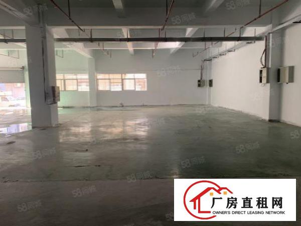  长安锦厦新出一楼豪华装修厂房1050平方。