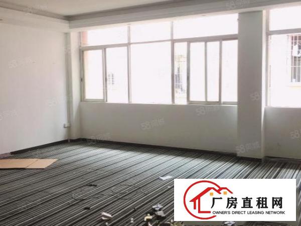  长安镇靠近深圳楼上贸易办公仓库厂房招租