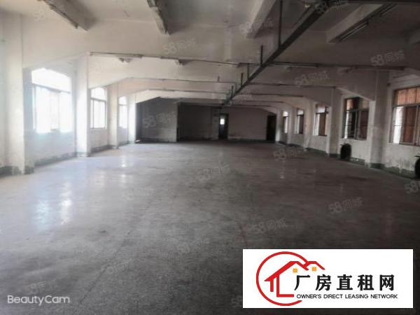 锦厦厂房出租1000平，100起分