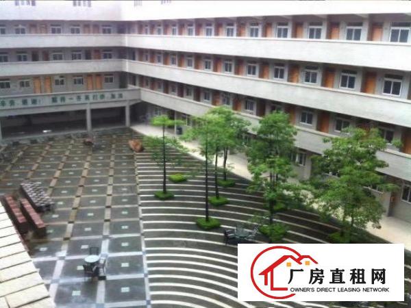  长安镇涌头107路边新空15米高单一层24000平，可分租