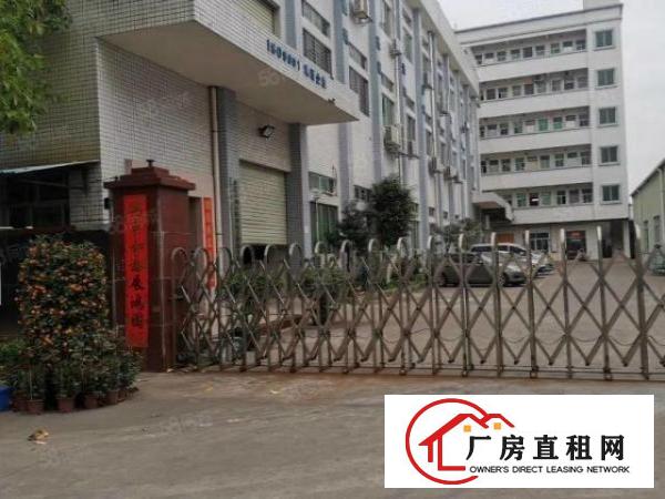  好消息！宵边即将空出一楼标准厂房，带豪华办公室装修