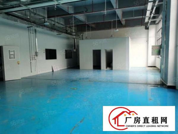  厂房招租东莞长安乌沙新出楼二楼230平方，水电齐全，地面漆坪