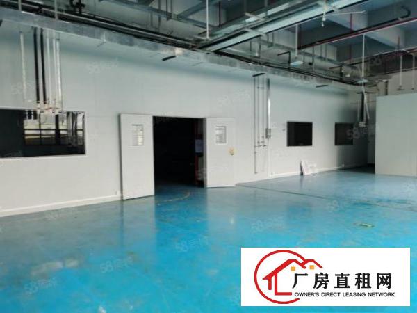  厂房招租东莞长安乌沙新出楼二楼230平方，水电齐全，地面漆坪