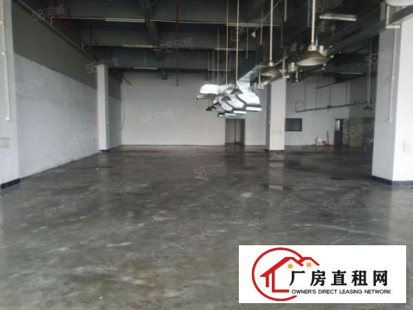 厂房招租东莞长安乌沙新出楼二楼230平方，水电齐全，地面漆坪