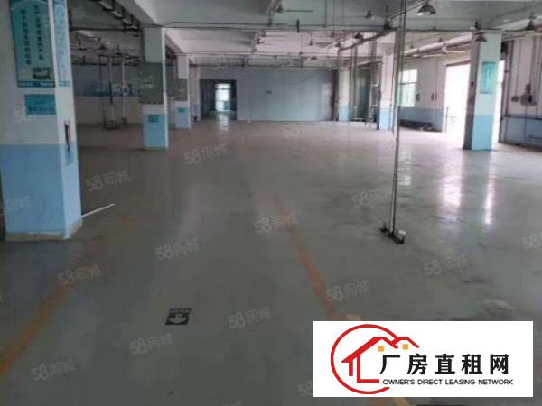  出租原房东5千平独院，空地大形象好，位置佳，