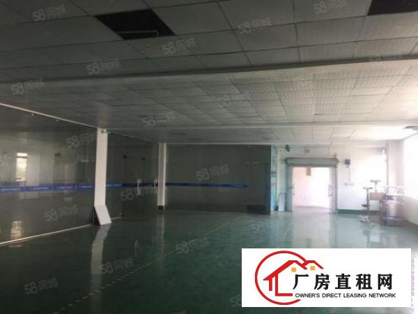  长安沙头600平厂房招租，水电齐全带装修