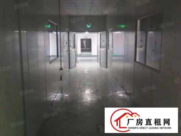  长安沙头600平厂房招租，水电齐全带装修