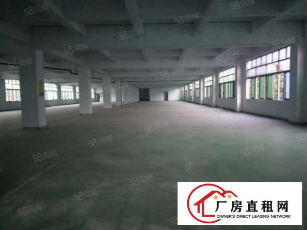  长安沙头600平厂房招租，水电齐全带装修