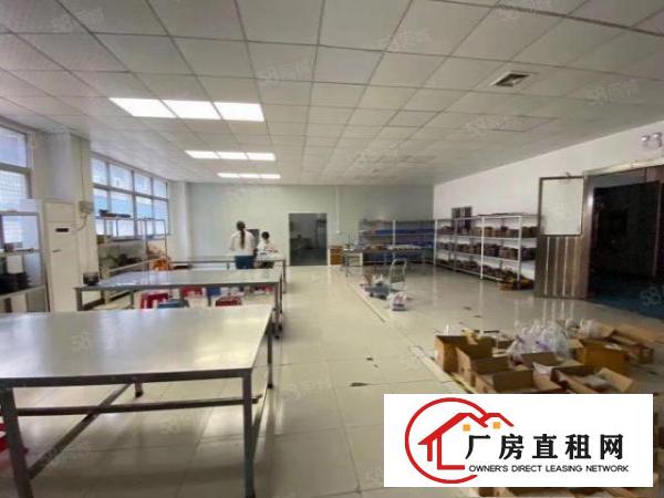  长安镇乌沙原房东出租一楼1050平厂房有办公室精装修可分租