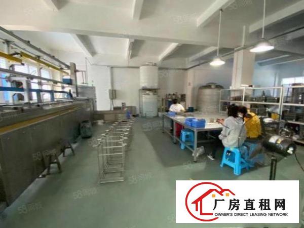  长安镇乌沙原房东出租一楼1050平厂房有办公室精装修可分租
