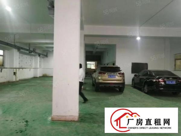  长安街口新出一楼650方，精装修，重点是没有基本电费，没电损