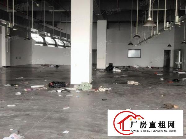  长安沙头社区新出原房东厂房1700平，带环评，精装修