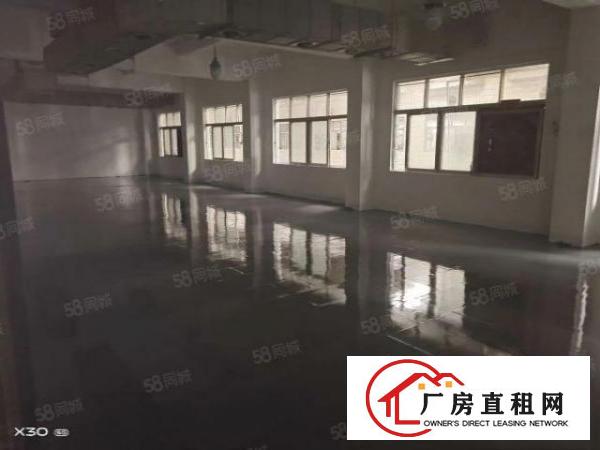  一楼便宜租，沙头自有园区厂房，400平，无基本电费，无杂费