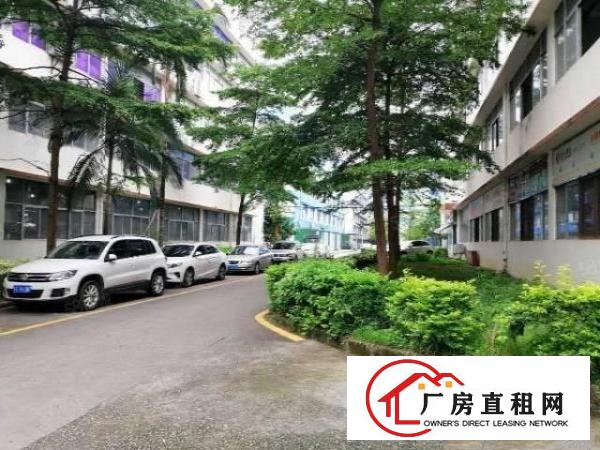  长安镇乌沙原房东出租一楼600平厂房有办公室可办环评可分租