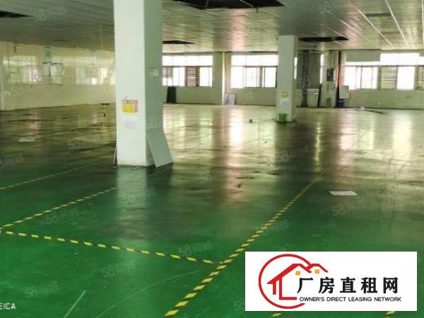  可办环评厂房带装修水电齐全