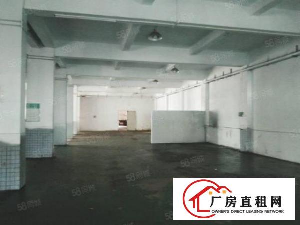  厦岗新空出三楼700平米，带精装修，有办公室