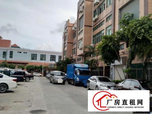  长安沙头楼上新950带装修有办公室厂房
