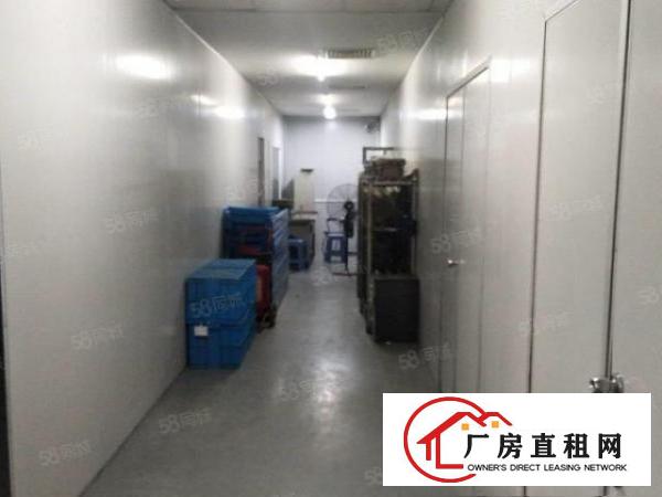  长安沙头楼上新950带装修有办公室厂房