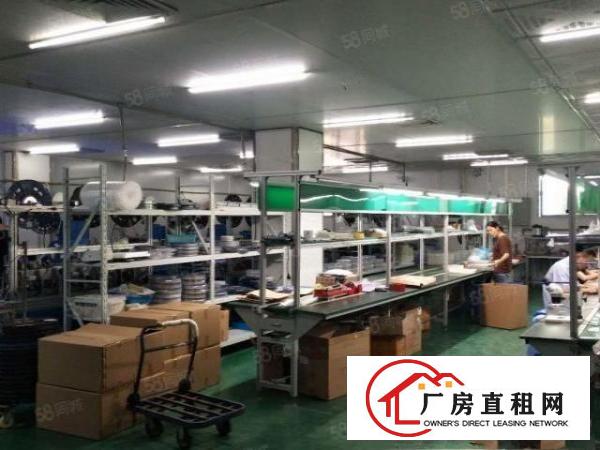  长安沙头楼上新950带装修有办公室厂房