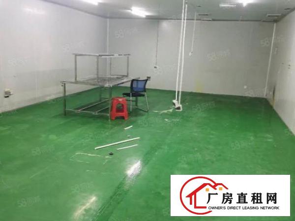  长安镇乌沙新出楼上1800平方，带有豪华装修，水电齐全。