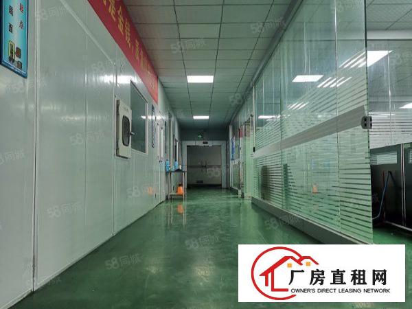 长安镇乌沙新出楼上1800平方，带有豪华装修，水电齐全。